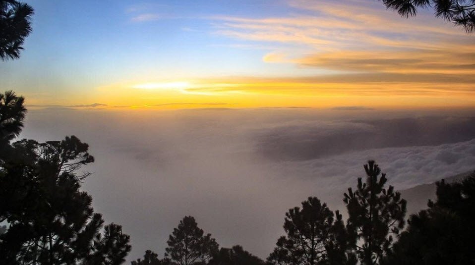 Celaque National Park, Near Gracias, Lempira, Honduras
